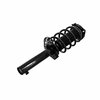 Fcs Struts COMPLETE STRUT ASSEMBLY 5335576